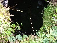 otta Forcato20110213 030
